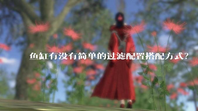 鱼缸有没有简单的过滤配置搭配方式？